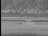 Thumbnail 35