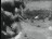 Thumbnail 44