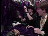 Thumbnail 19