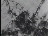 Thumbnail 23