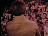 Thumbnail 27
