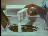 Thumbnail 27