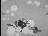 Thumbnail 38