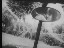 Thumbnail 24