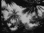 Thumbnail 39
