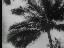 Thumbnail 63