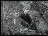 Thumbnail 29