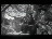 Thumbnail 48