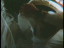 Thumbnail 37