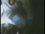 Thumbnail 38