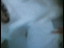 Thumbnail 57
