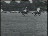 Thumbnail 26