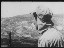 Thumbnail 22