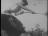 Thumbnail 19