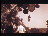 Thumbnail 17