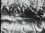 Thumbnail 32