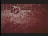 Thumbnail 32