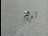 Thumbnail 33