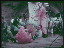 Thumbnail 26