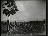 Thumbnail 27