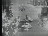 Thumbnail 21
