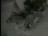 Thumbnail 16