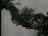 Thumbnail 33