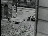 Thumbnail 24