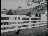Thumbnail 37