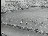 Thumbnail 26