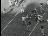 Thumbnail 35