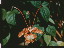 Thumbnail 23