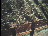 Thumbnail 25