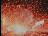 Thumbnail 26