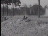 Thumbnail 17