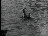 Thumbnail 64