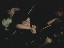 Thumbnail 47