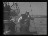 Thumbnail 19