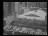 Thumbnail 22