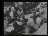 Thumbnail 28