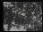 Thumbnail 30