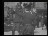 Thumbnail 35