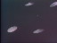 Thumbnail 65