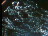 Thumbnail 22