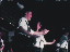 Thumbnail 23