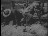 Thumbnail 32