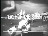 Thumbnail 45