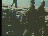 Thumbnail 39