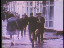 Thumbnail 26
