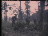 Thumbnail 50